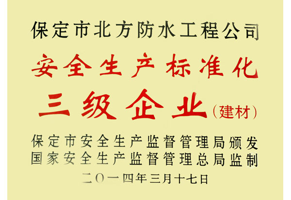 安全生產(chǎn)標(biāo)準(zhǔn)化三級(jí)企業(yè)